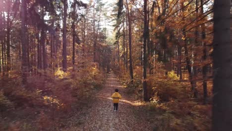 Persona-Corriendo-Por-El-Bosque-De-Otoño-Con-Vigas-A-Través-De-árboles-Con-Hojas-Que-Caen