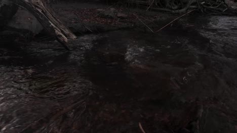 river creek shallow water stream moving downhill inside switzerland forest