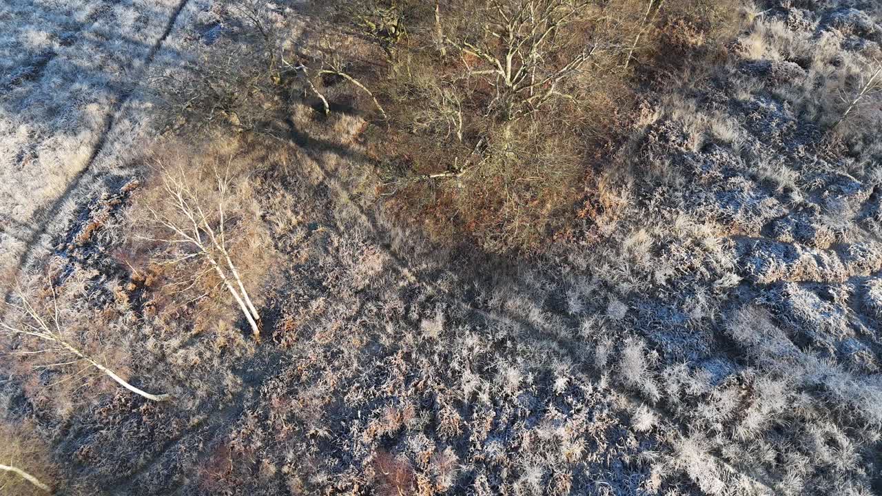 Overhead birds eye drone aerial view Epping Forest UK in winter frosty ground