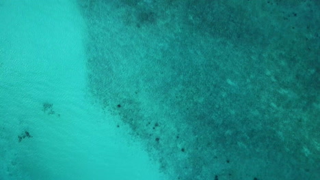 disparo de ángulo descendente con drones del océano turquesa en las maldivas