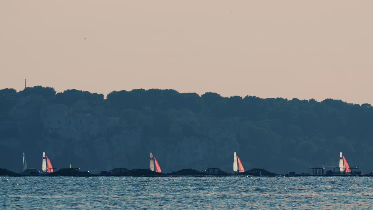 Barche a vela in lontananza che navigano in acque calme con una costa boscosa sullo sfondo