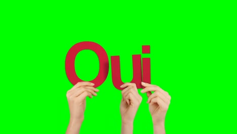 Woman-hand-holding-letters-Q,-U-and-I