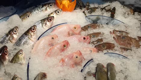 fresh fish in ice at local market shop