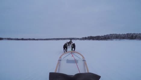 pov of a passenger ride on a dog sled across a snowy frozen lake