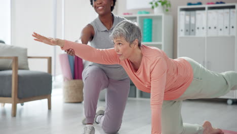 physical therapy session with a senior woman