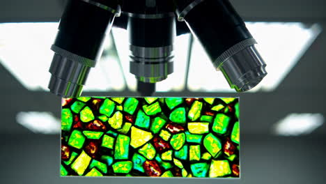 microscope image of a rock sample