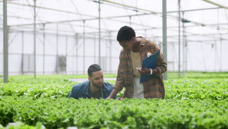 man, woman and inspection on hydroponic farm