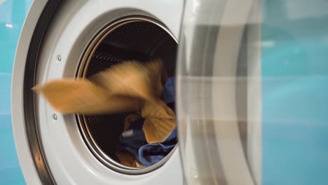 towels getting thrown into a washing machine