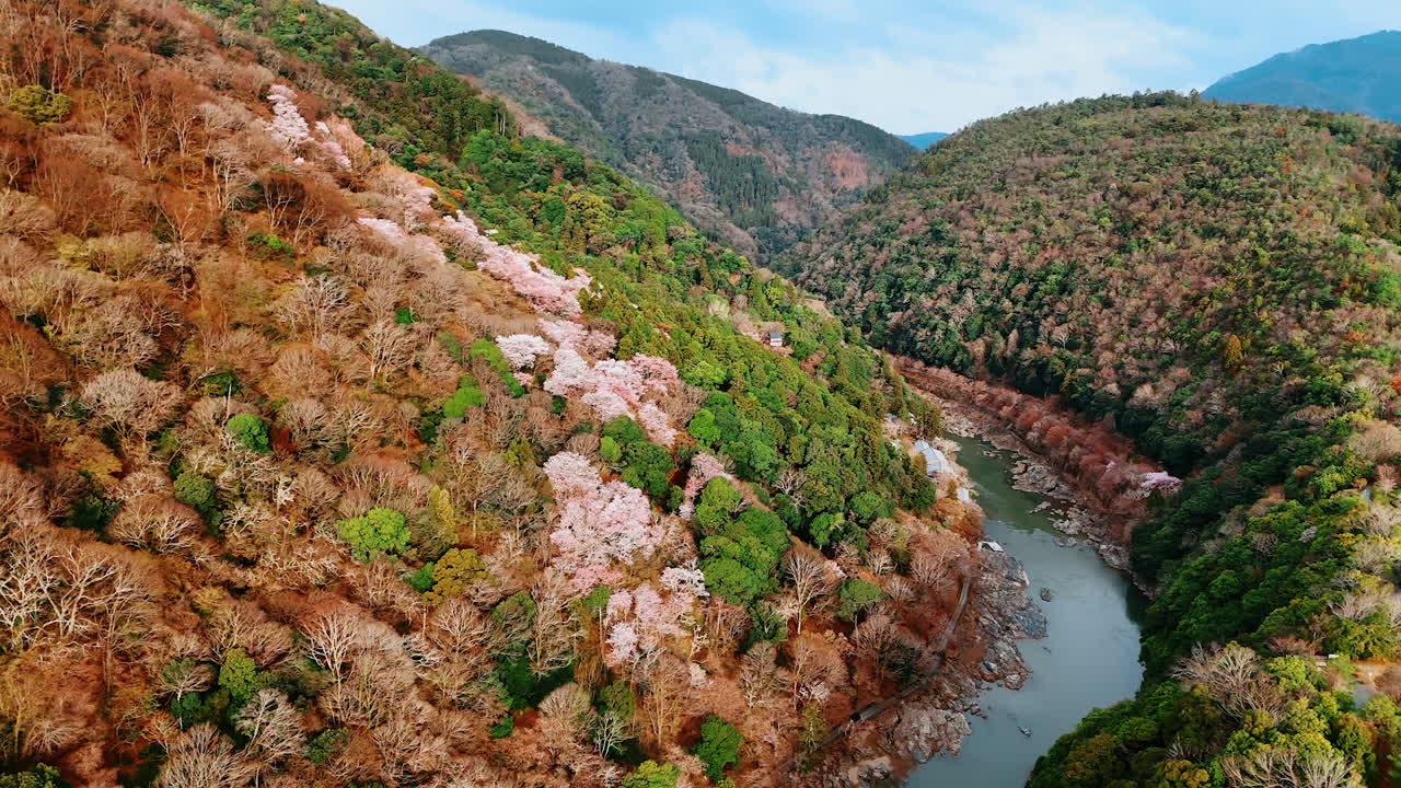 Narrow river flowing among the mountains covered with thick woods. Aerial perspective on the nature of Kyoto, Japan.
