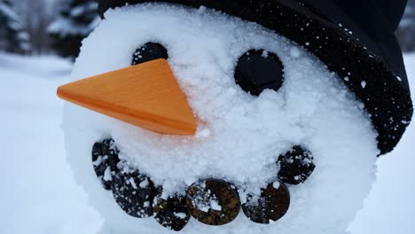 close-up of a snowman's face