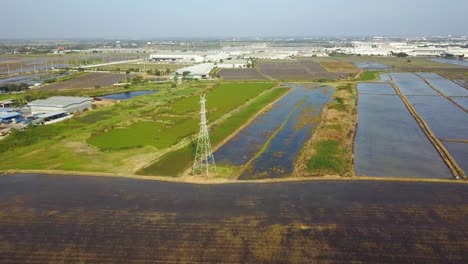 Líneas-De-Transmisión-De-Energía-En-Un-Campo-De-Arroz-En-El-área-Urbana-De-Tailandia---Drone,-Toma-Amplia