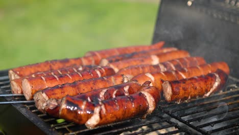 grilling tasty sausages on barbecue grill