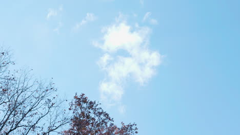 Clouds-in-sky-with-tree