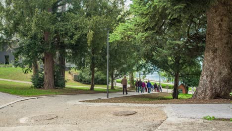 a stationary shot of people walking in the park