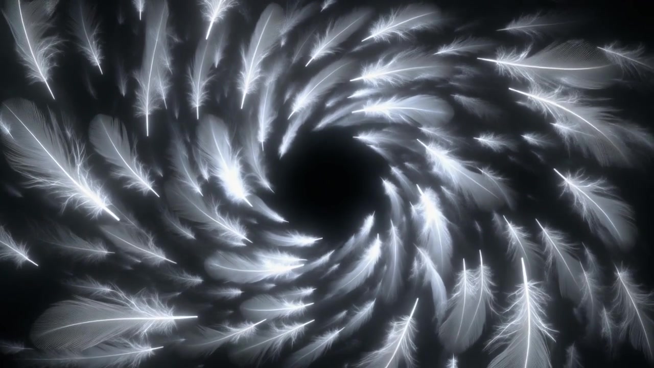 White Feathers Swirling in a Dark Vortex
