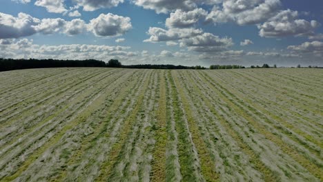 drone perspective overlooking warmia's agricultural fields - poland