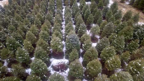 flyover christmas tree farm in north carolina mountains