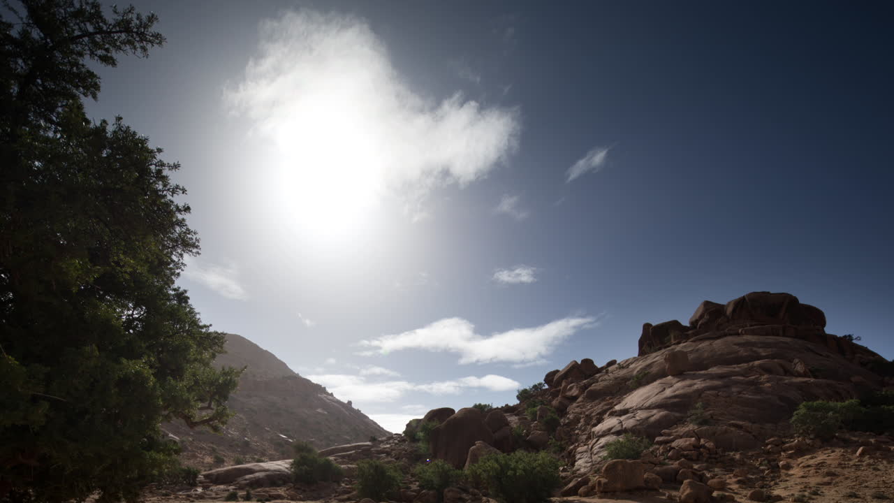 타프 루트 바위 01