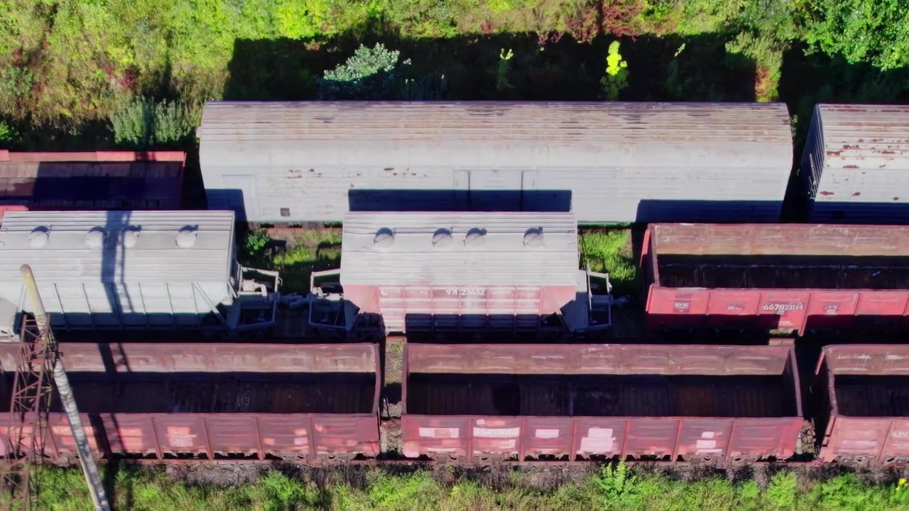 Train cars parked on tracks near trees and bushes in the daytime