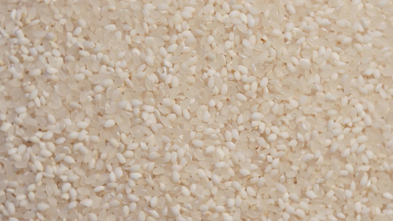 회전 중 인  씨 의 면