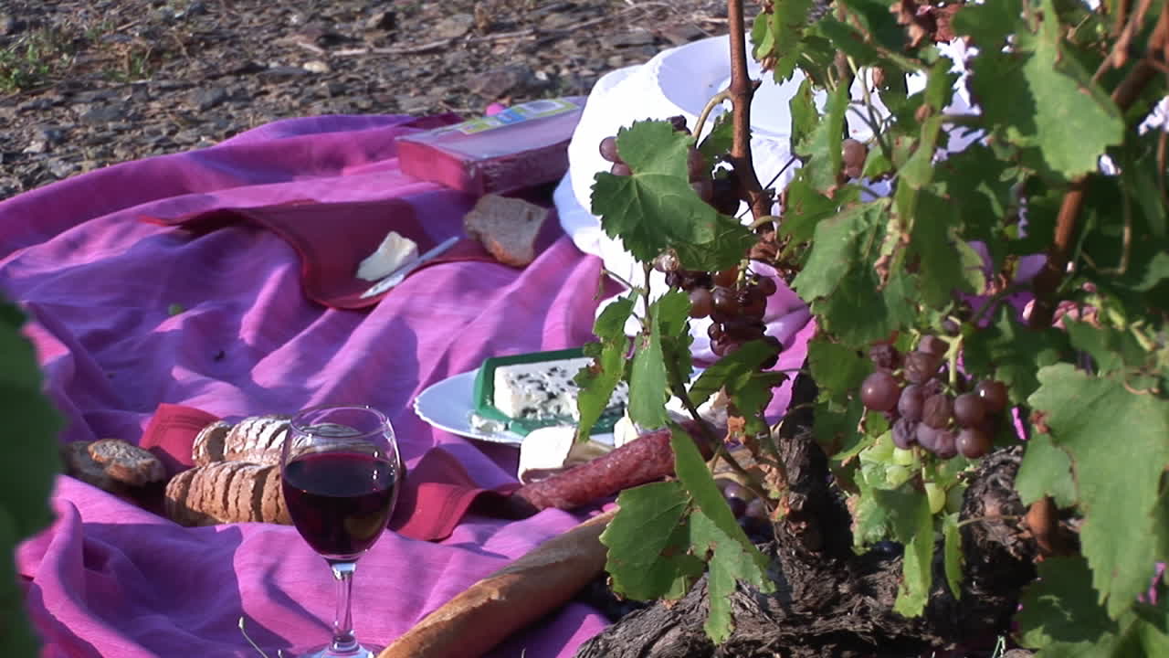 프랑스 남부에서 휴식을 취하고 있습니다.