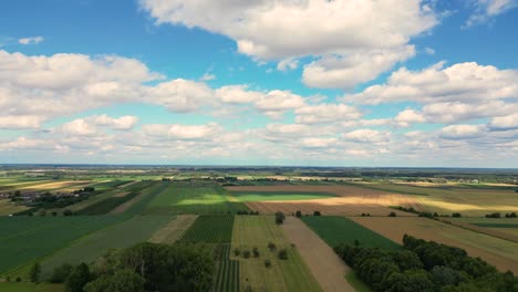 Luftaufnahme-Mit-Der-Landschaftsgeometriestruktur-Vieler-Landwirtschaftlicher-Felder-Mit-Verschiedenen-Pflanzen-Wie-Raps-In-Der-Blütezeit-Und-Grünem-Weizen