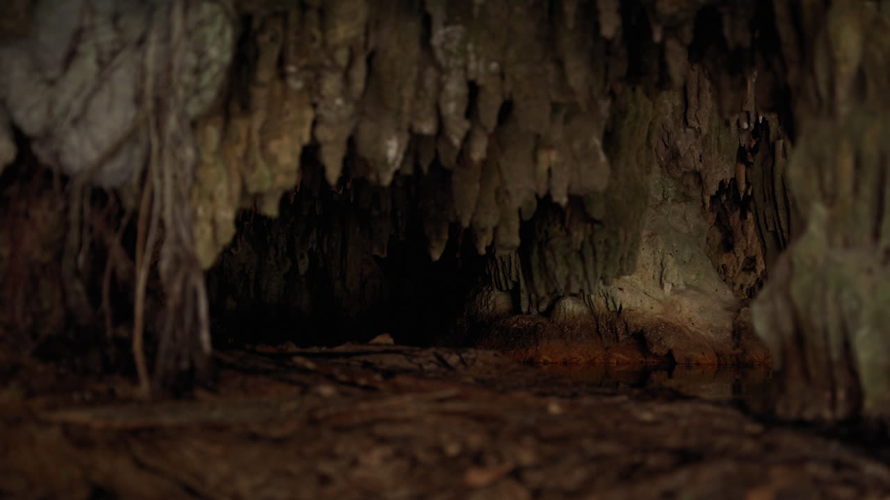 Underground Cave Of a Cenote In The Yucatan Peninsula Of Mexico. Rack Focus Shot