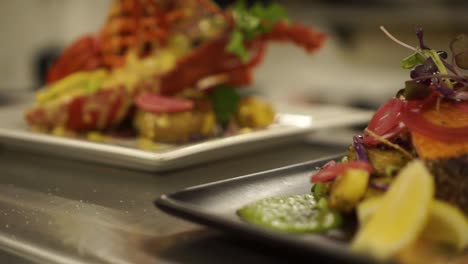 slowmo - meal presentation of new zealand crayfish, with salad, potatoes, lemon and salmon at a luxury restaurant - close up detail