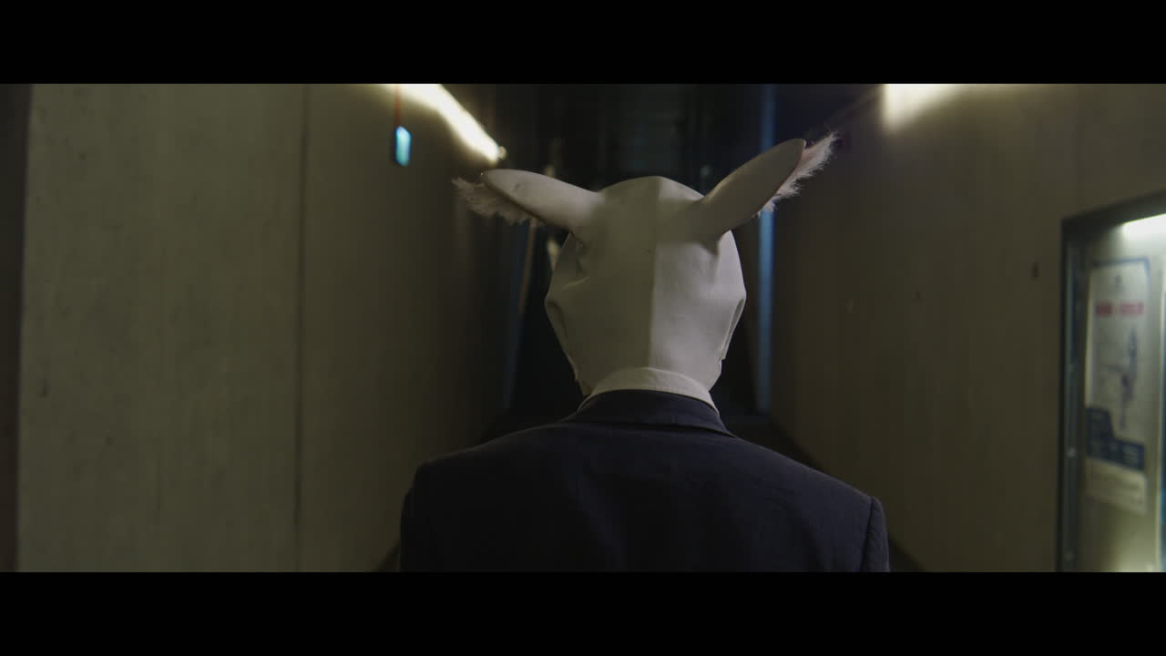 Man walking down a corridor with a rabbit head