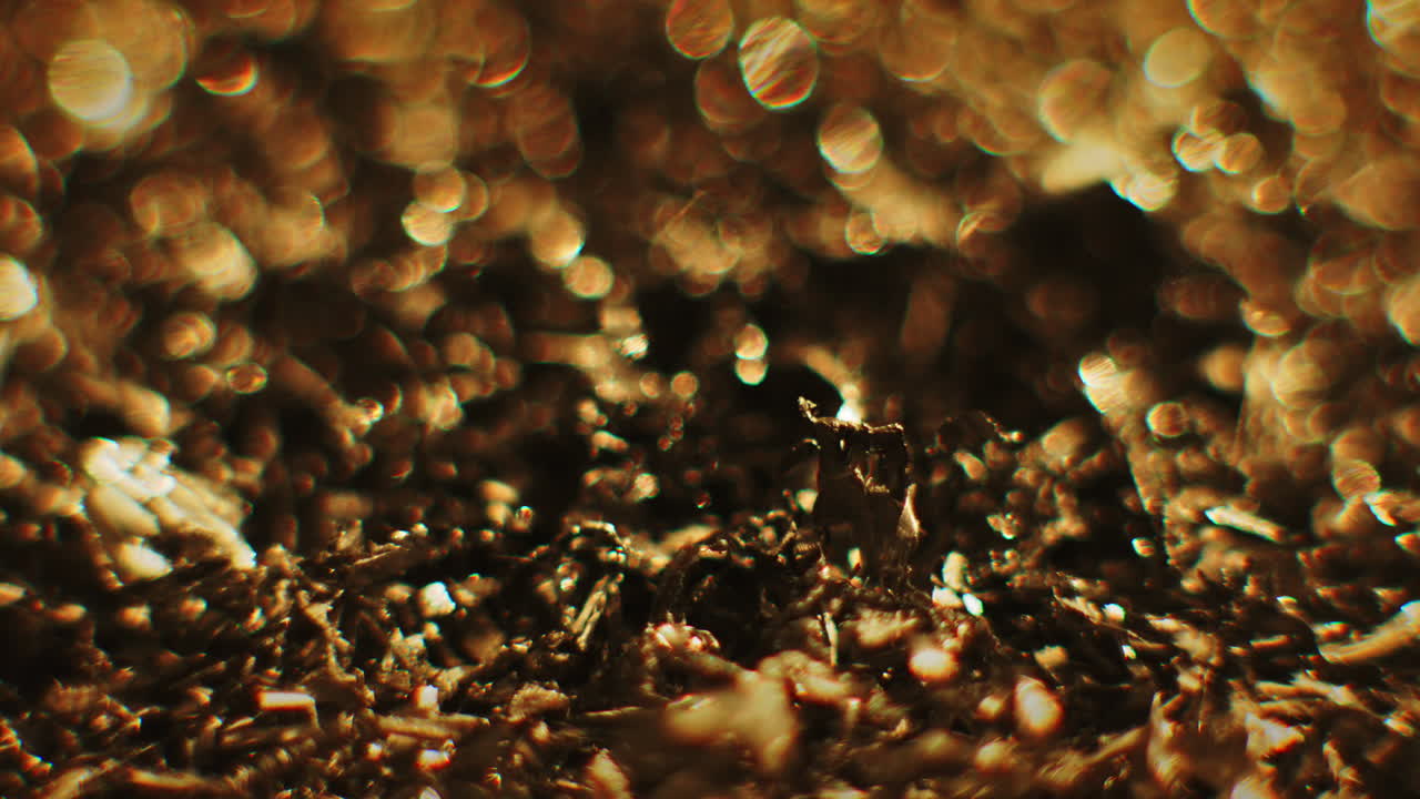 Golden color metal erratic movement