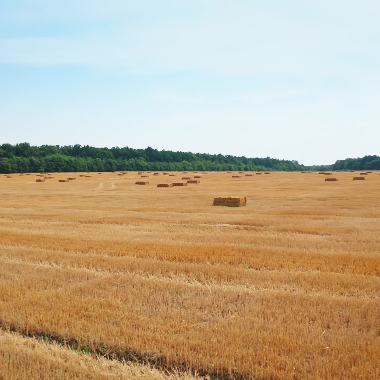 Neat hay bales left in the field for drying after the mowing season. Flying low over the field full of straw packs