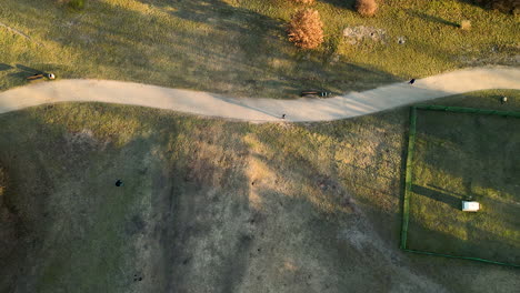 people joggging and running on the path of a green park