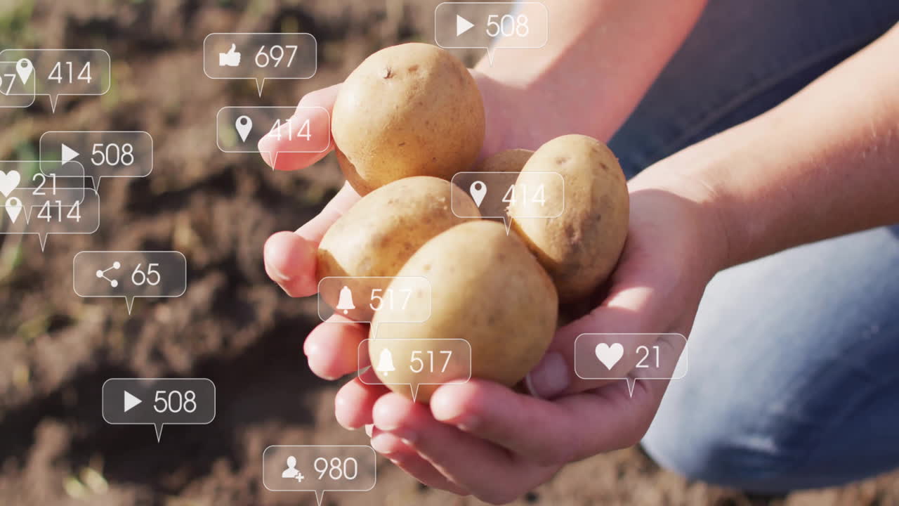 woman holding freshly harvested potatoes in field, showing animated social media marketing icons