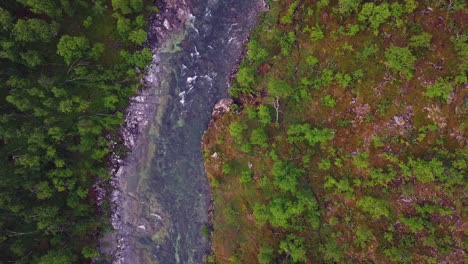 Antenne-Des-Reinen,-Frischen,-Klaren-Wasserstroms,-Der-Durch-Grünen-Wald-Fließt