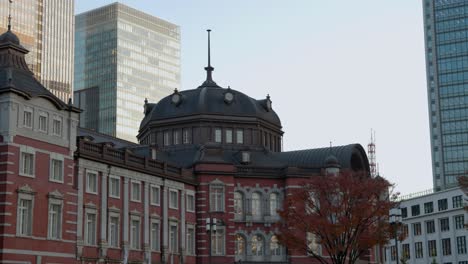 도쿄에서 가장 좋은 전망