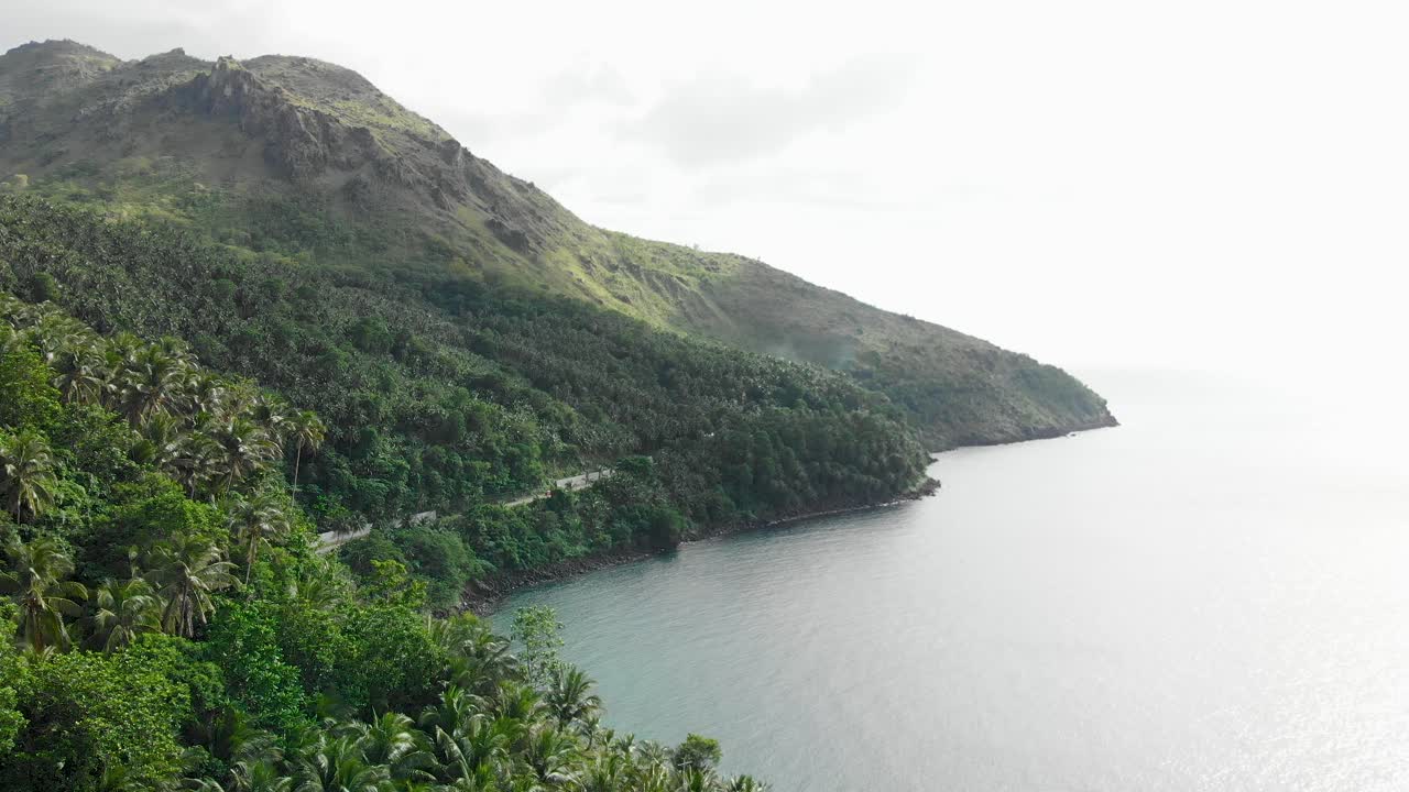 화산과 탁 트인 바다 옆에 있는 열대 태평양 섬의 야자수 위에 떠 있는 드론 공중