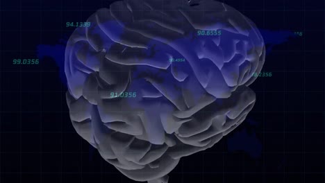 animación de números y cerebro giratorio en fondo negro