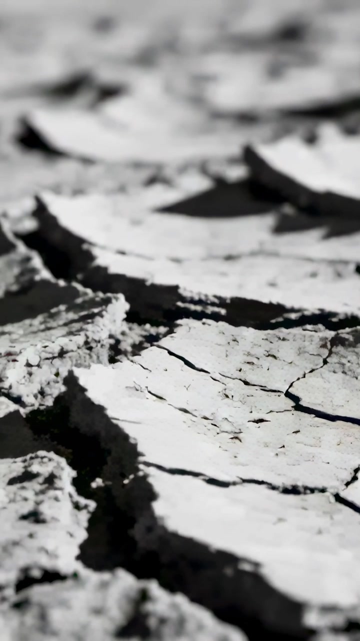 Vertical video: Tracking camera revealing cracked mud at dry pan, showing plates, fissures, shadows