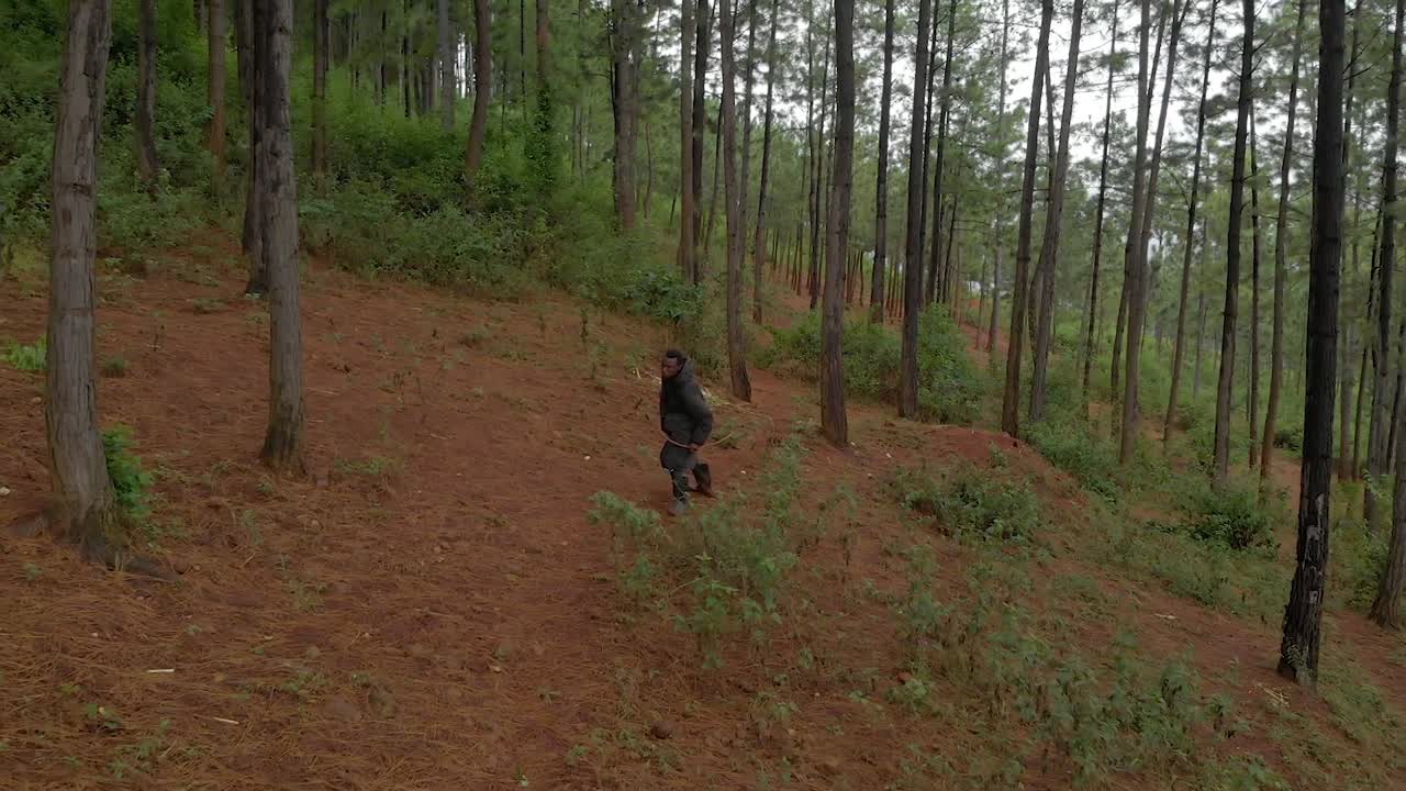Aerial shot tracking in front of an African hunter stalking prey with a bow and arrow and taking aim and shooting