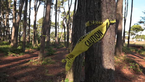 yellow caution tape tied around tree trunk - close up