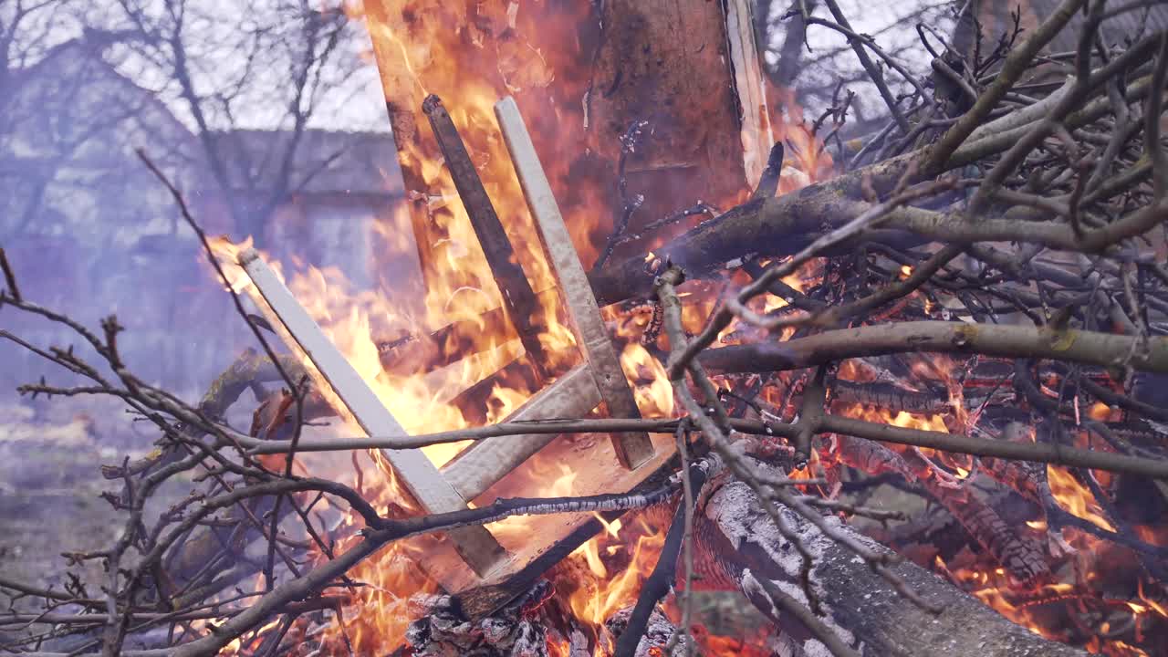 Old chair on fire along with dry tree branches. Big fire