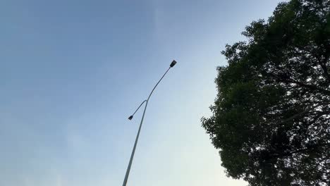 a single y shape led light near big green tree during blue sky