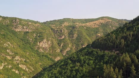 descending aerial view over pine trees and steep sideded ravines of rhodope mountains bulgaria