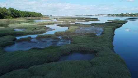 aerial flyover swampland in scenic landscape of portugal during sunny day - ascend drone shot