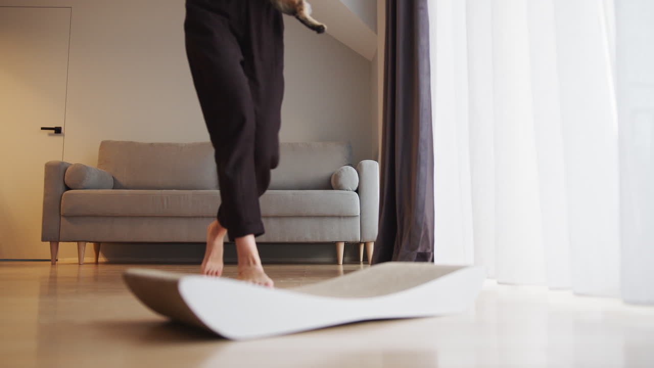 una mujer limpiando un gato.