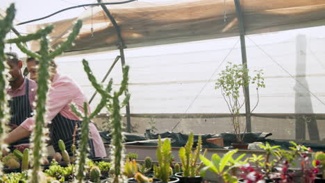 gardening in greenhouse, smiling woman tending to plants with apron on