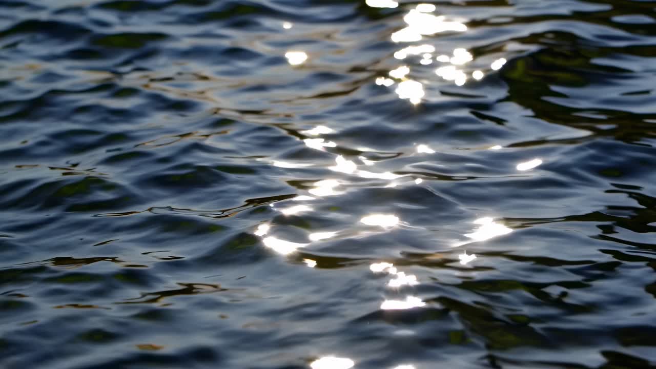 A close-up video of shimmering water with sunlight reflections, captured from a low angle