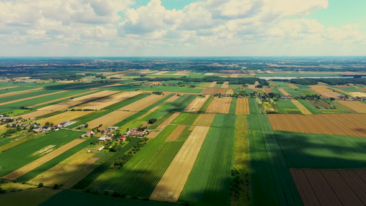 абстрактные геометрические формы сельскохозяйственных участков с различными культурами в желтом и зеленом цветах