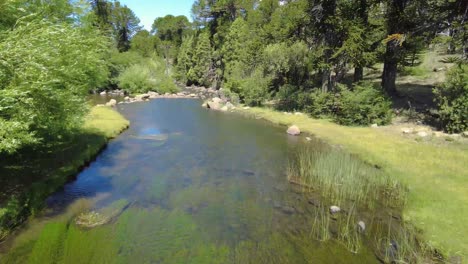 Experimente-Una-Sensación-De-Paz-Y-Serenidad-Mientras-Las-Aguas-Cristalinas-De-Un-Arroyo-Serpentean-A-Través-Del-Bosque