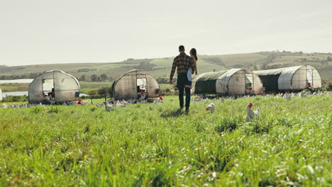 Chicken,-farm-and-father-walking-with-girl